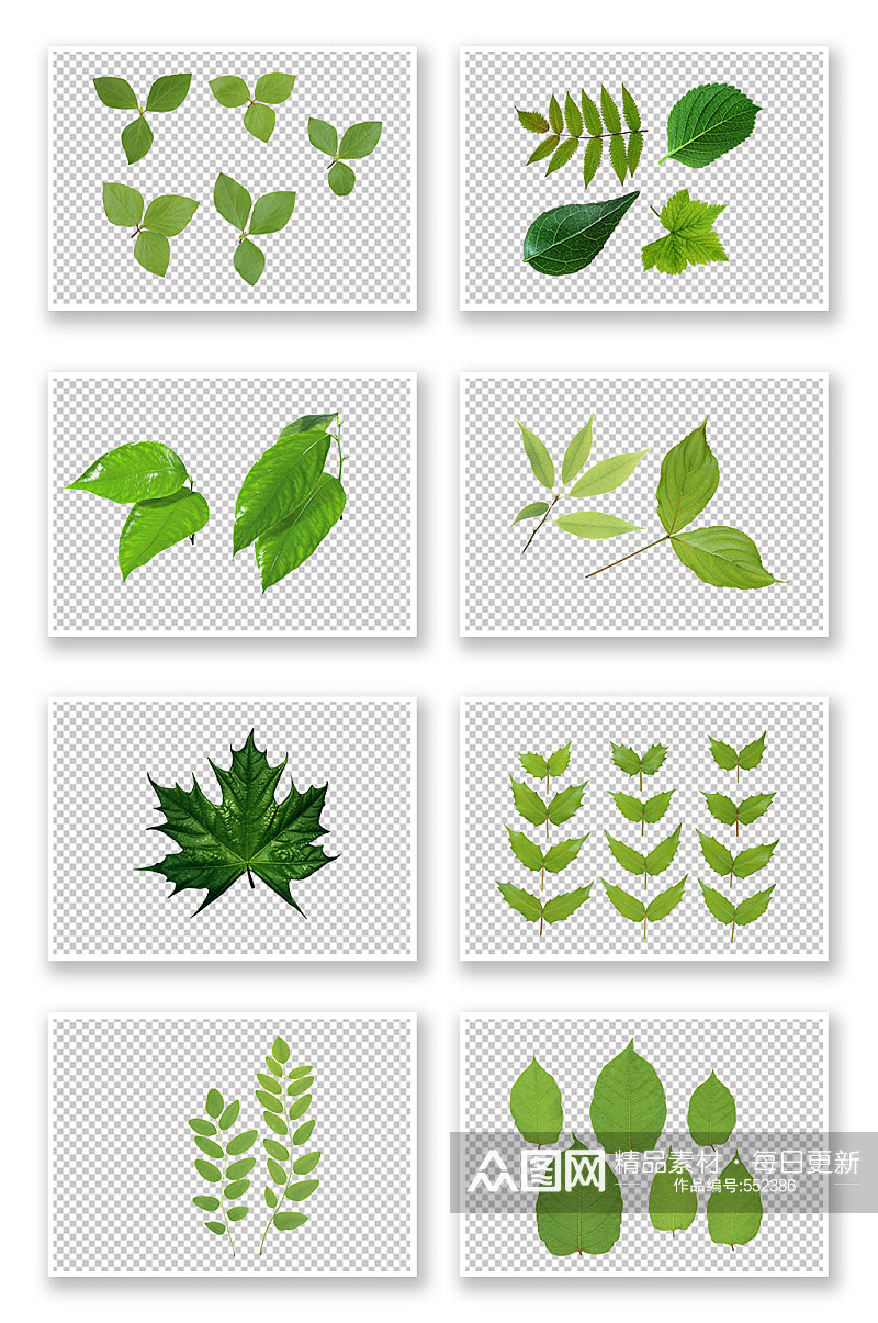 绿叶植物装饰元素素材