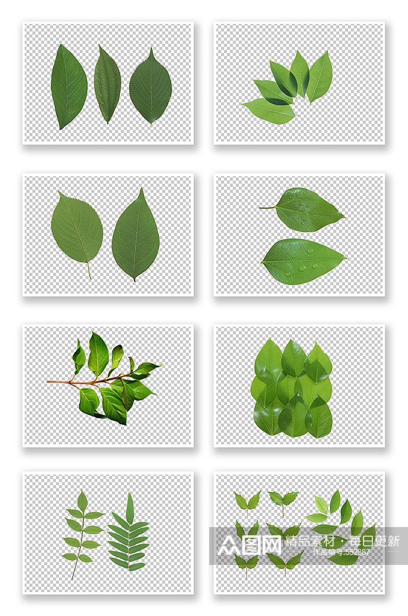 绿叶植物免扣元素素材