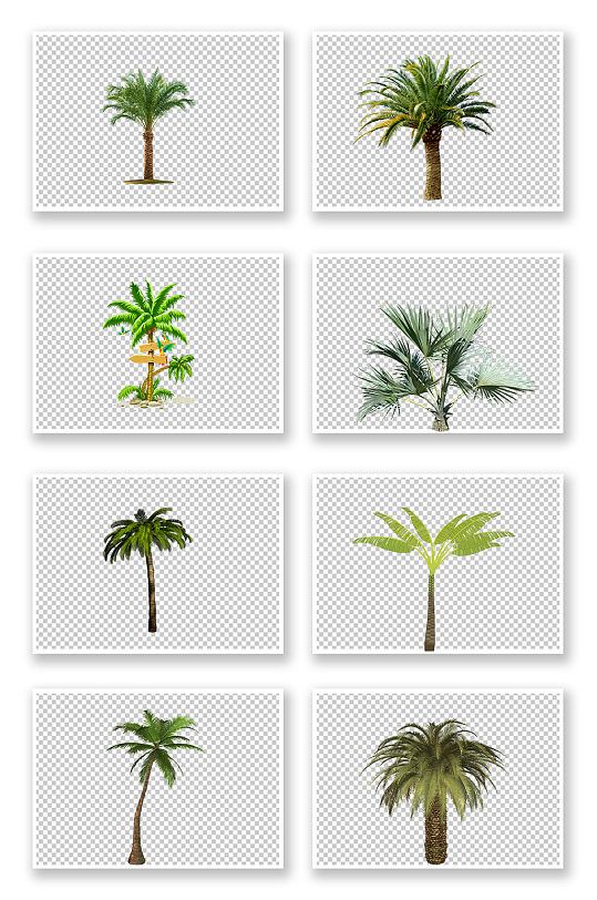 热带棕榈树椰子树免扣