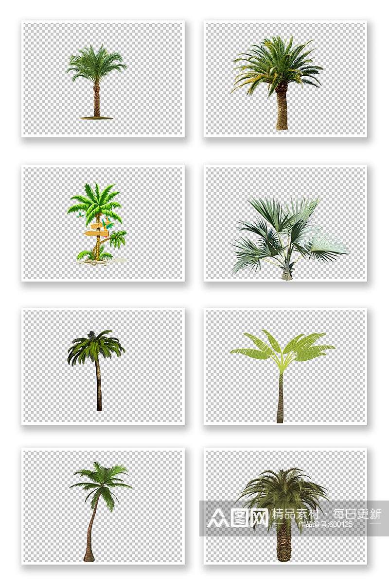 热带棕榈树椰子树免扣素材