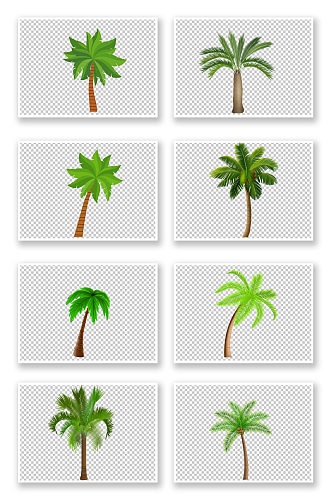 绿色热带植物棕榈树