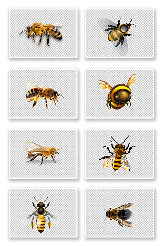 卡通昆虫小蜜蜂元素