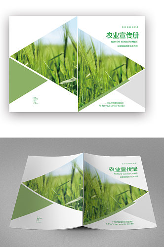 农业宣传画册封面