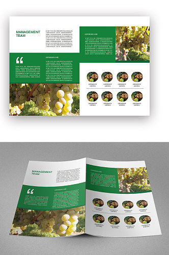 绿色农产品推广宣传画册封面