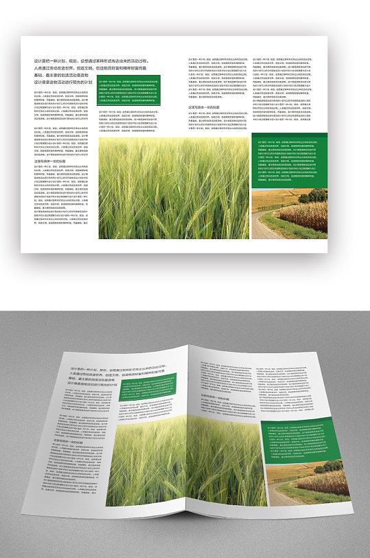 农业产品宣传推广绿色画册封面
