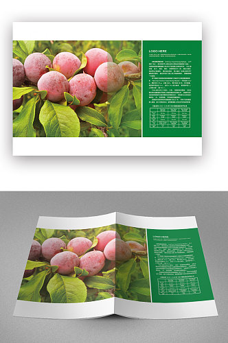 农业产品宣传推广画册封面