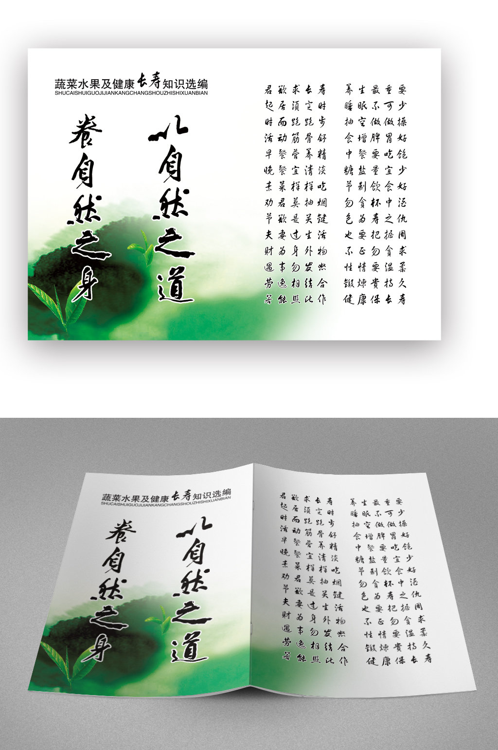 简约养生健康知识选编画册封面素材