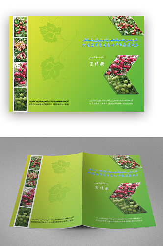 农产品宣传册画册封面