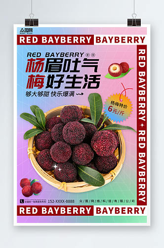 弥散新鲜杨梅夏季水果果园促销海报