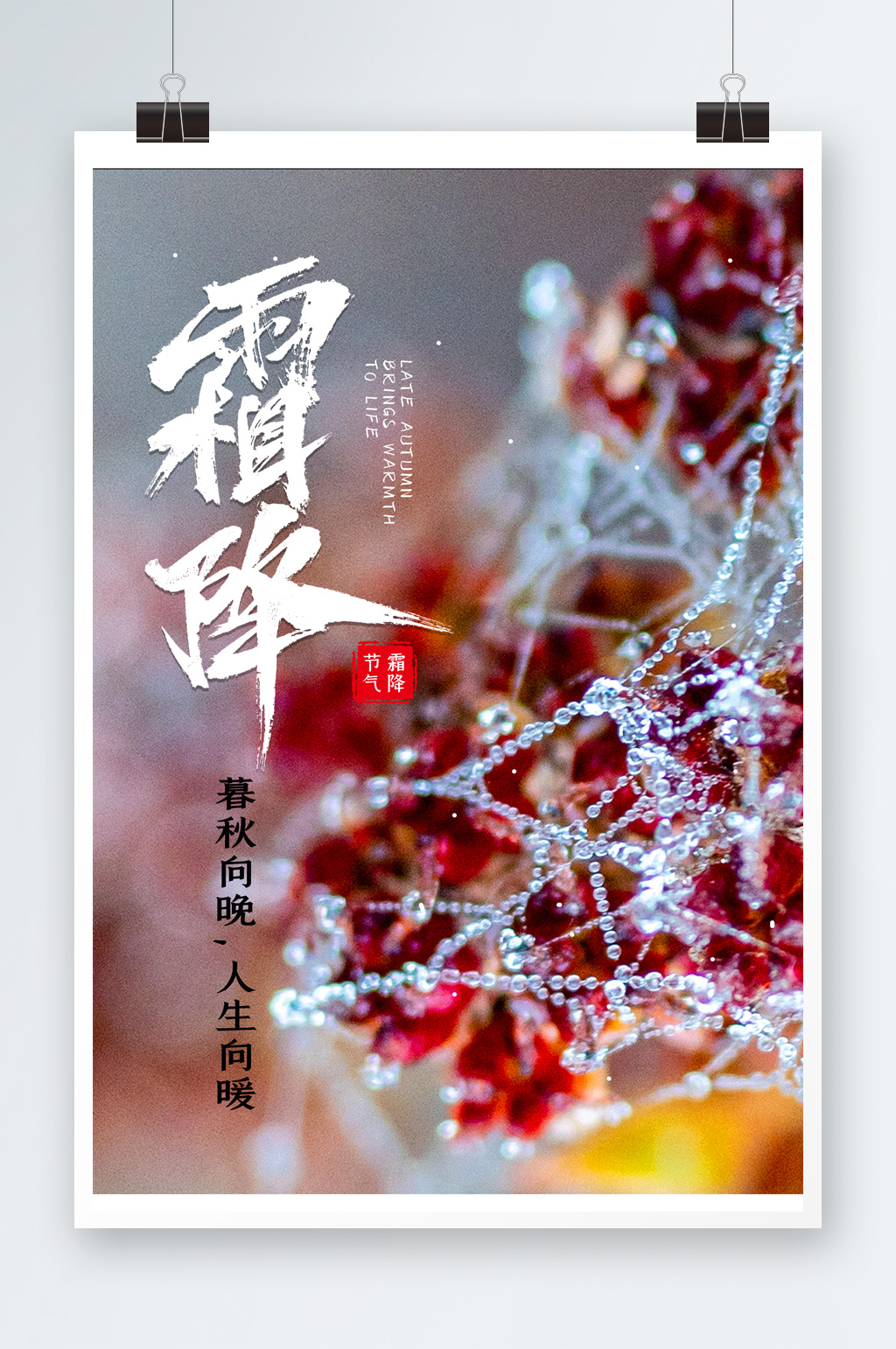 霜降节气摄影图海报素材
