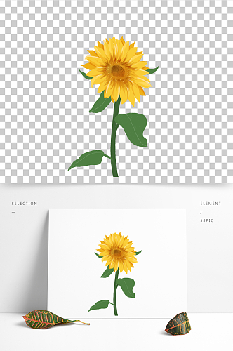 原创手绘向日葵夏天花卉素材