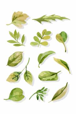 小清新水彩手绘植物叶子矢量元素图片