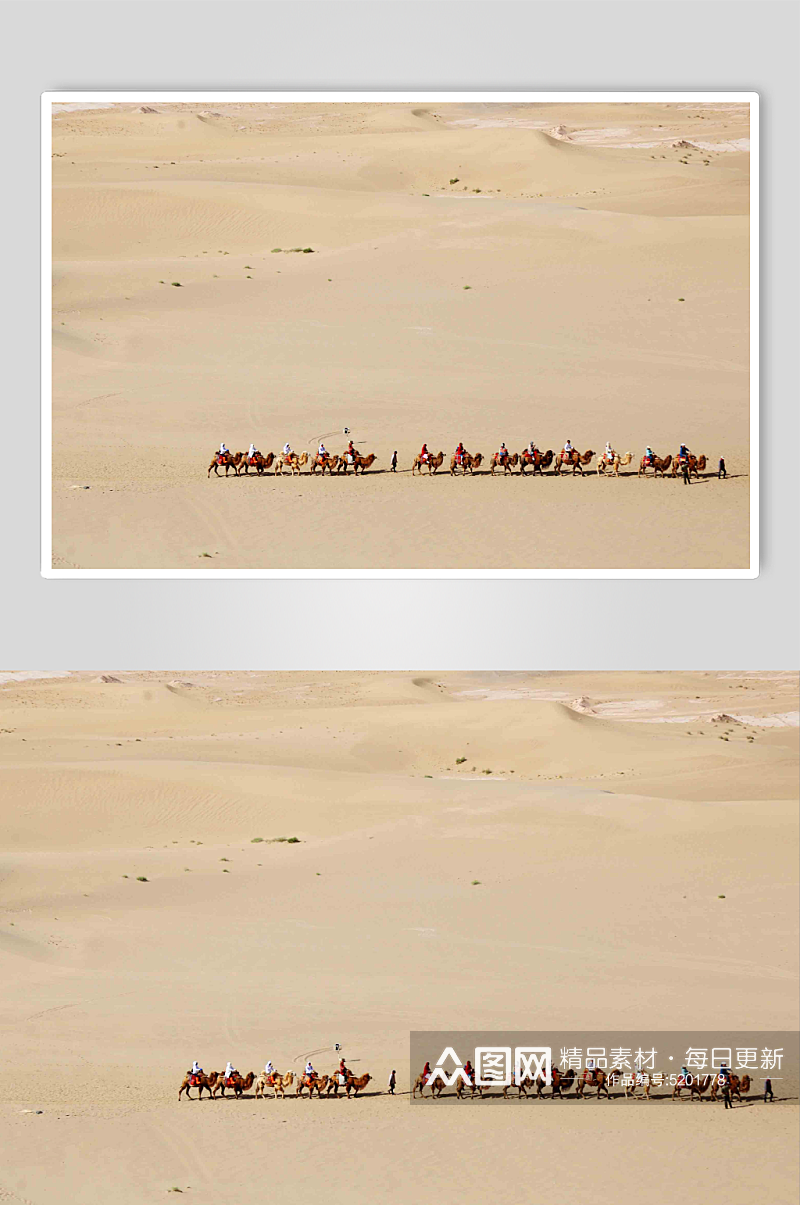敦煌鸣沙山驼队行走沙漠中图片素材