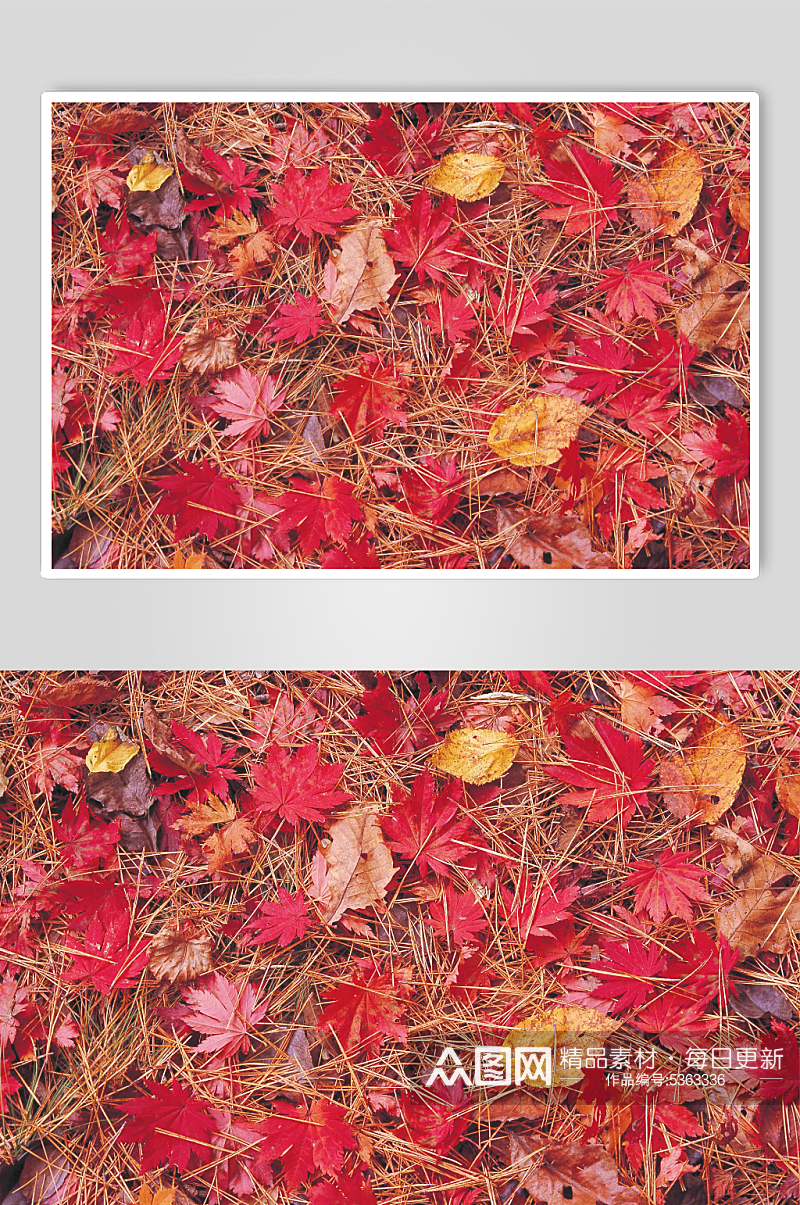 秋季秋天美景高清图片素材