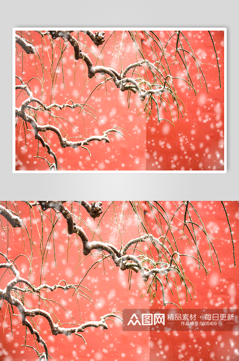 北京故宫红墙的雪景图片素材