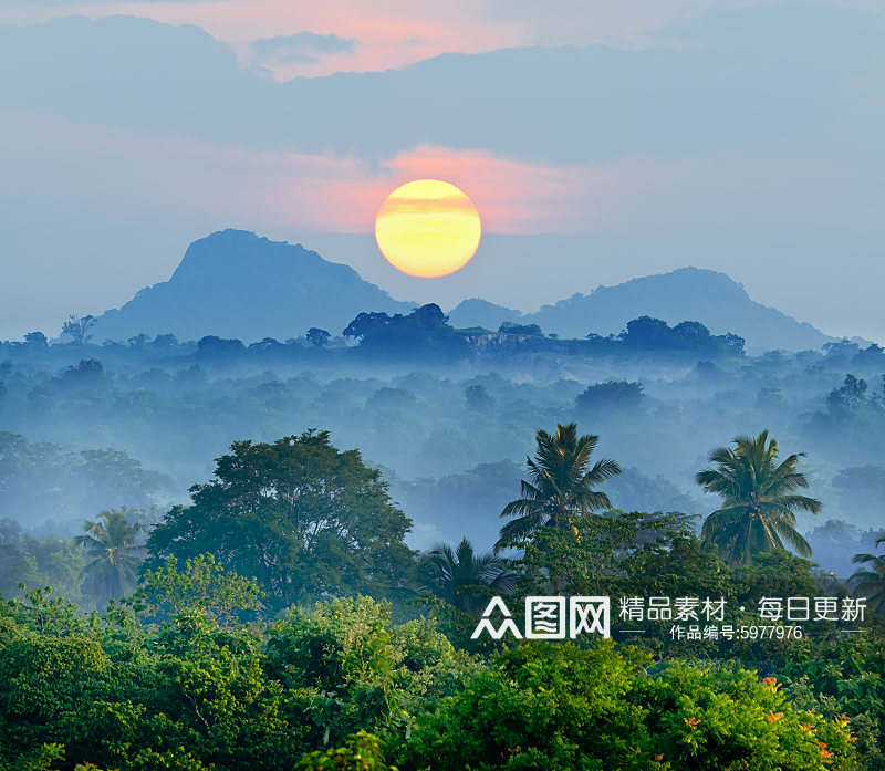 热带森林自然风景摄影图素材