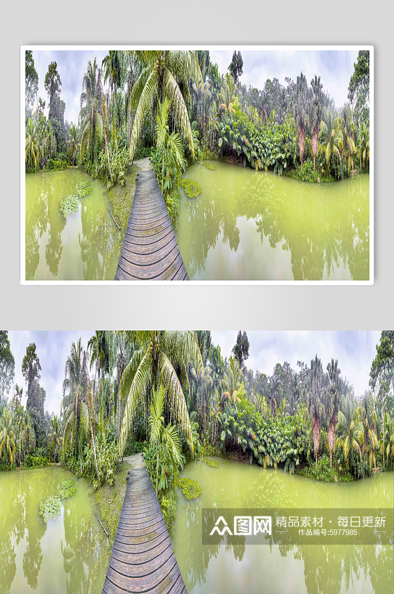 热带森林自然风景摄影图素材