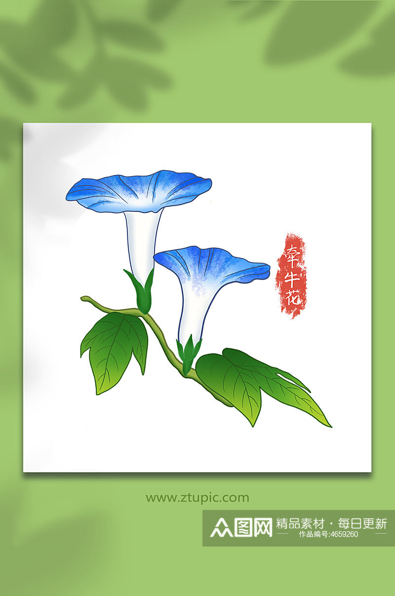 牵牛花手绘夏日花卉元素插画素材