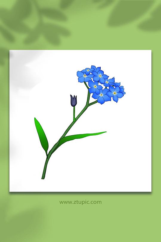 手绘秋季花卉勿忘我元素插画