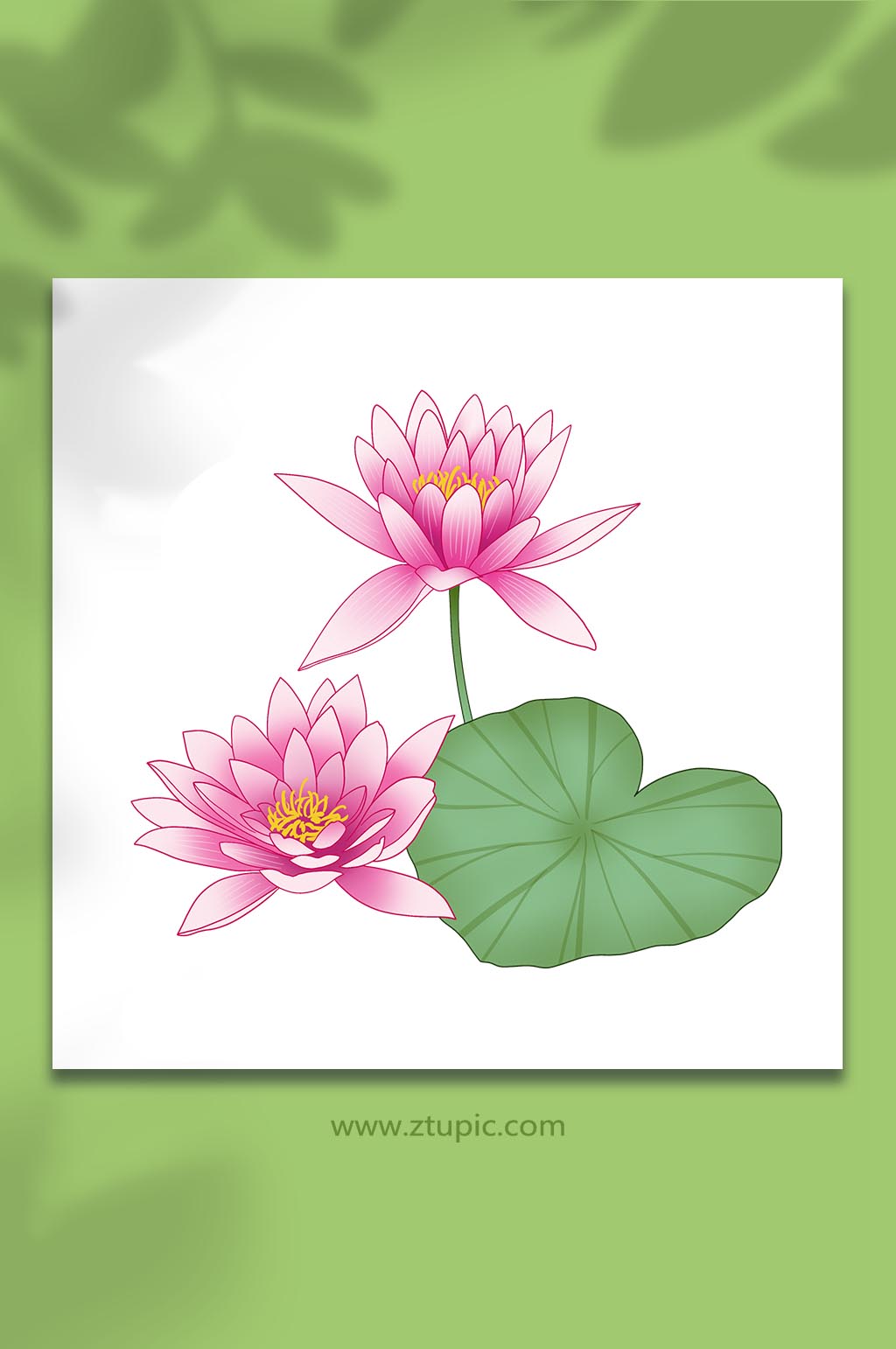 手绘秋季花卉睡莲元素插画素材