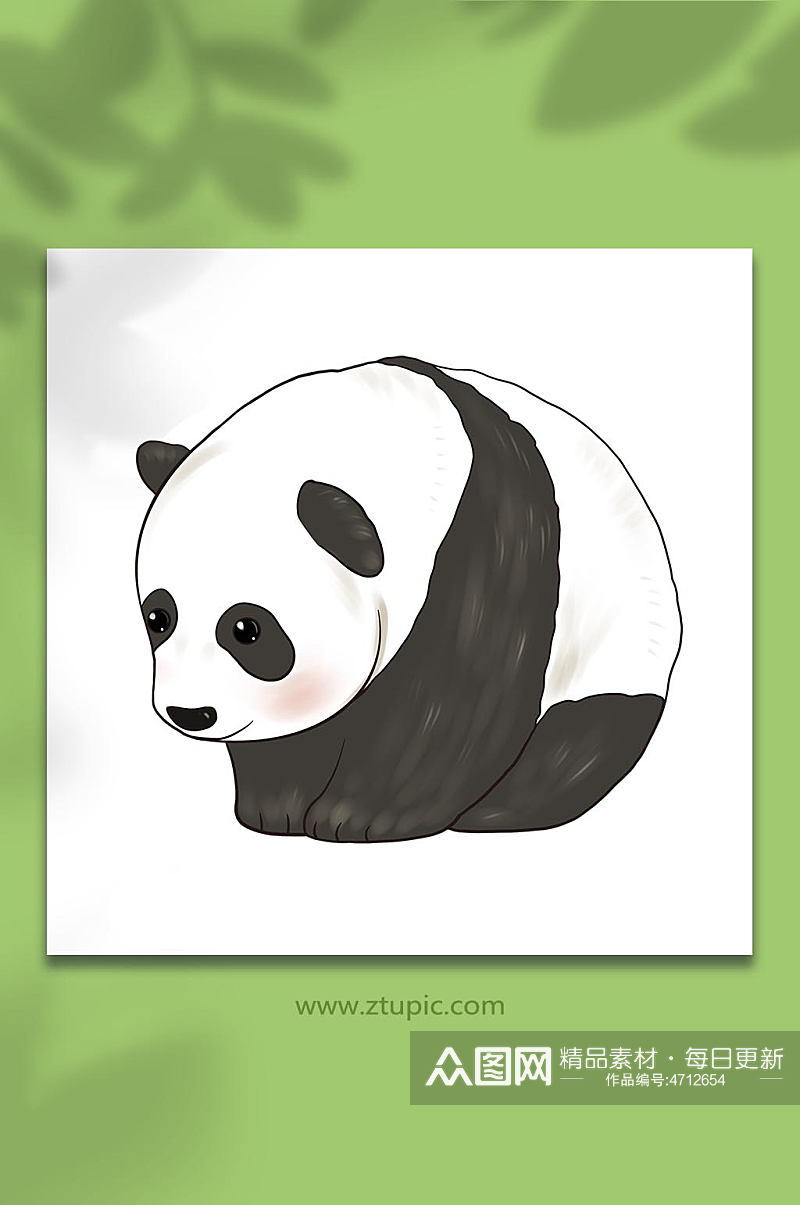 手绘卡通国家保护动物熊猫元素原创插画素材