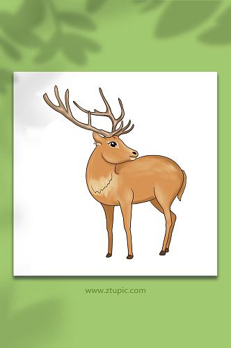 手绘卡通国家保护动物麋鹿元素原创插画