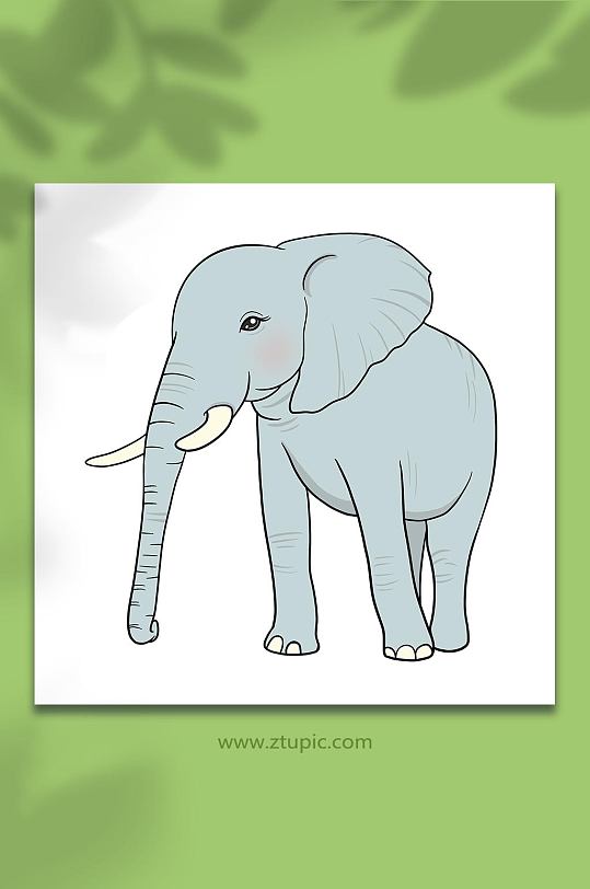 手绘卡通国家保护动物大象元素原创插画
