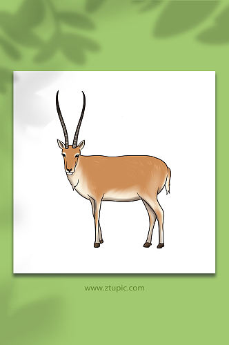 手绘卡通国家保护动物羚羊原创插画