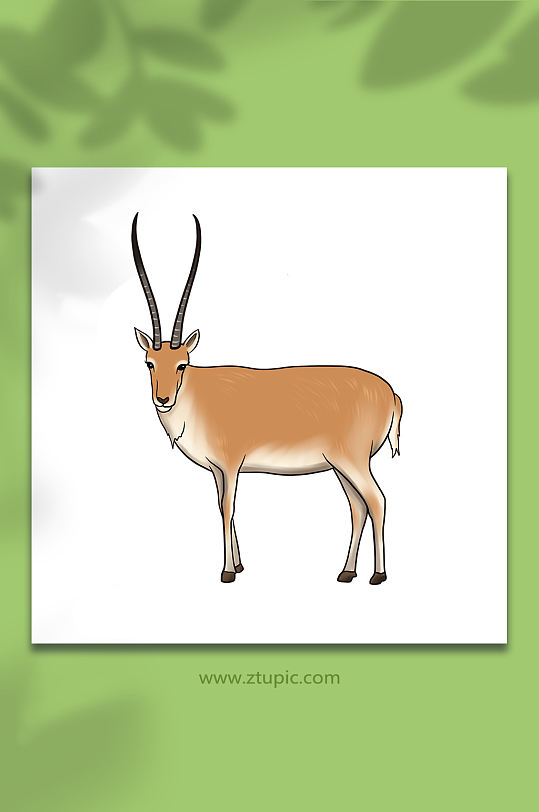 手绘卡通国家保护动物羚羊原创插画