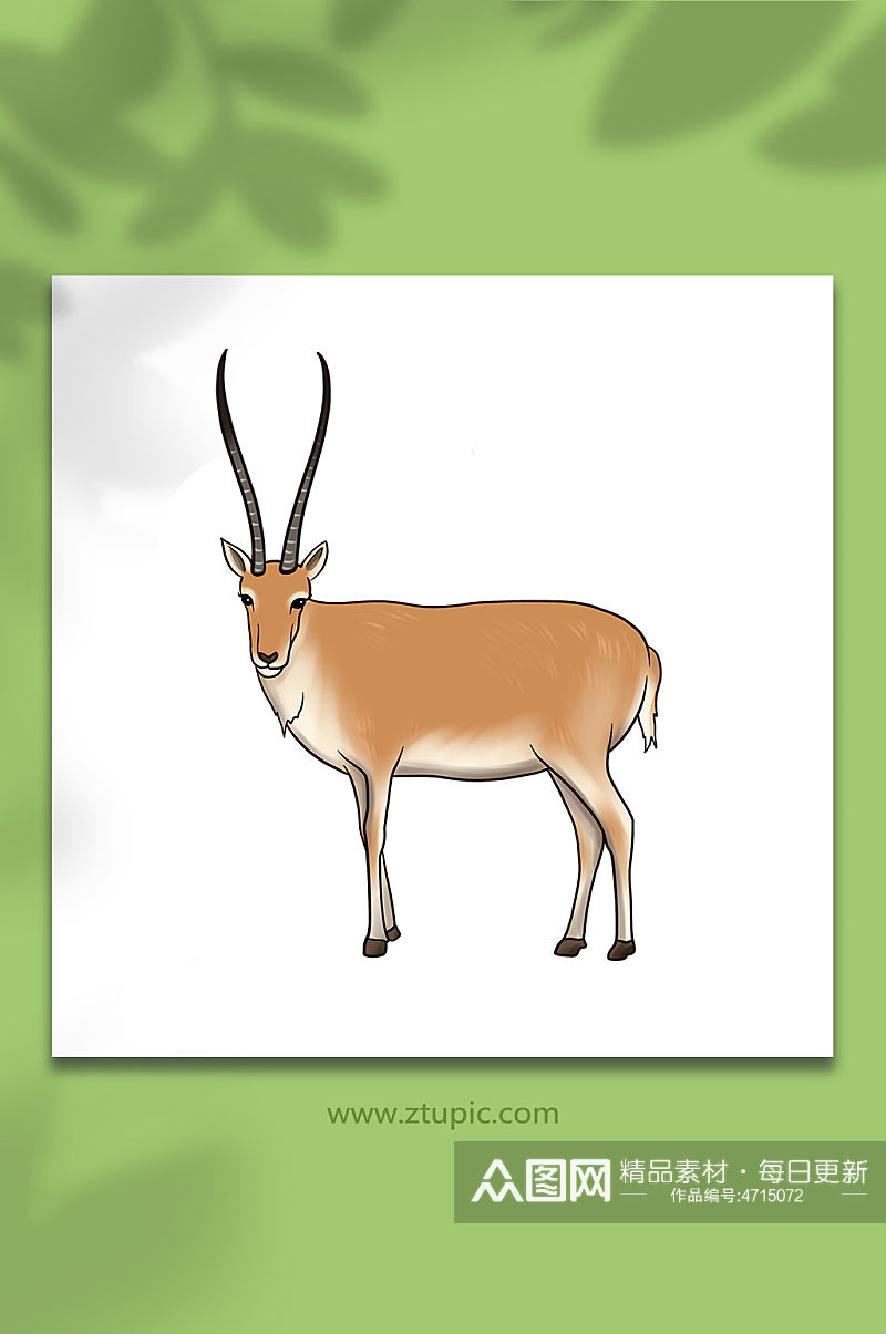手绘卡通国家保护动物羚羊原创插画素材