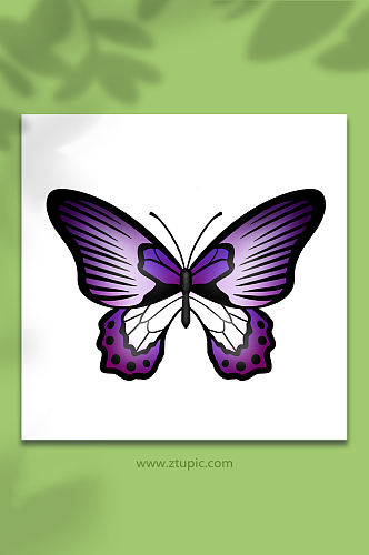 手绘卡通动物昆虫紫色蝴蝶原创插画
