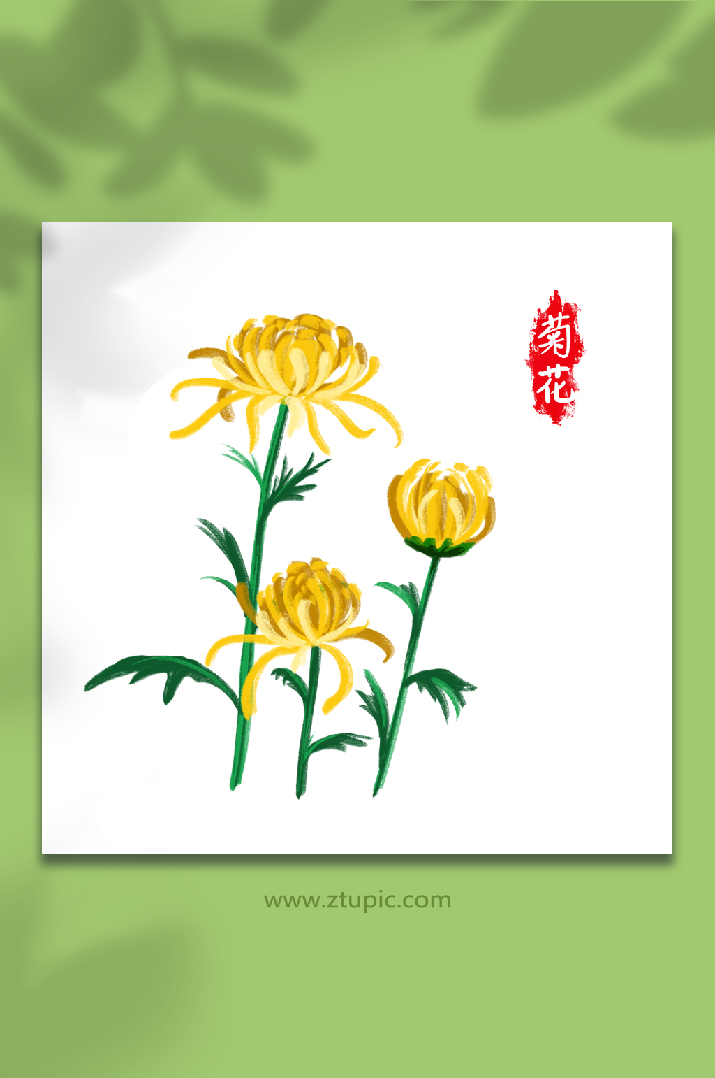 手绘卡通国潮菊花元素插画素材