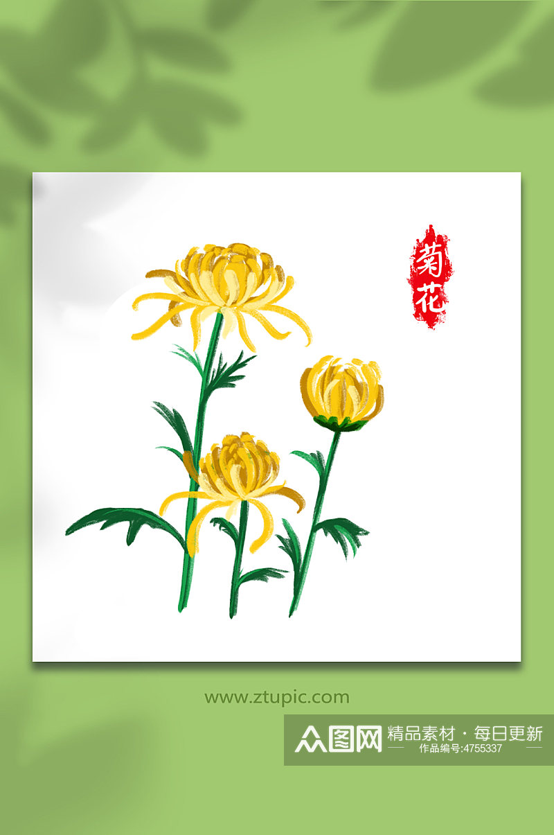 手绘卡通国潮菊花元素插画素材