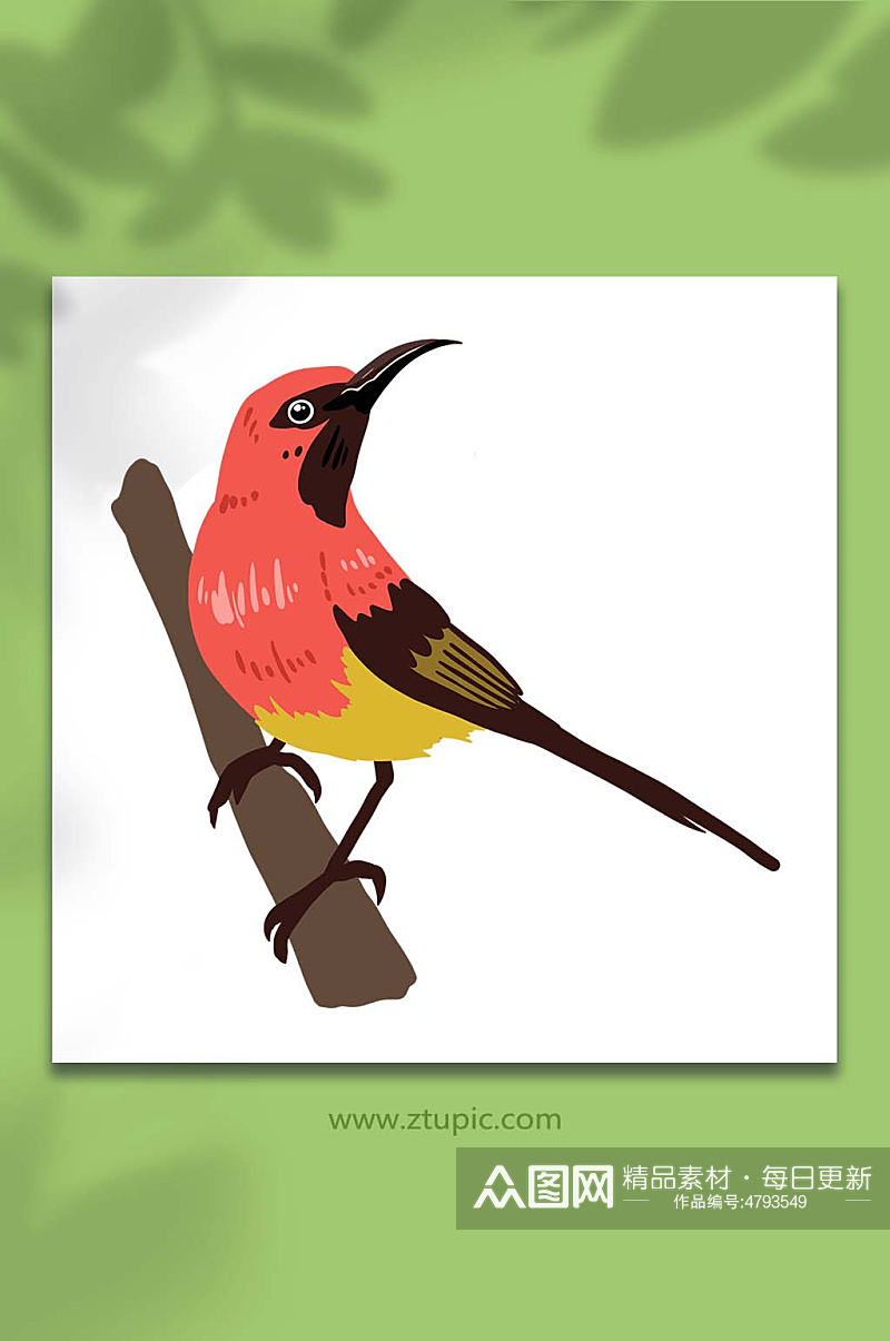 手绘卡通动物红色春季小鸟元素插画素材