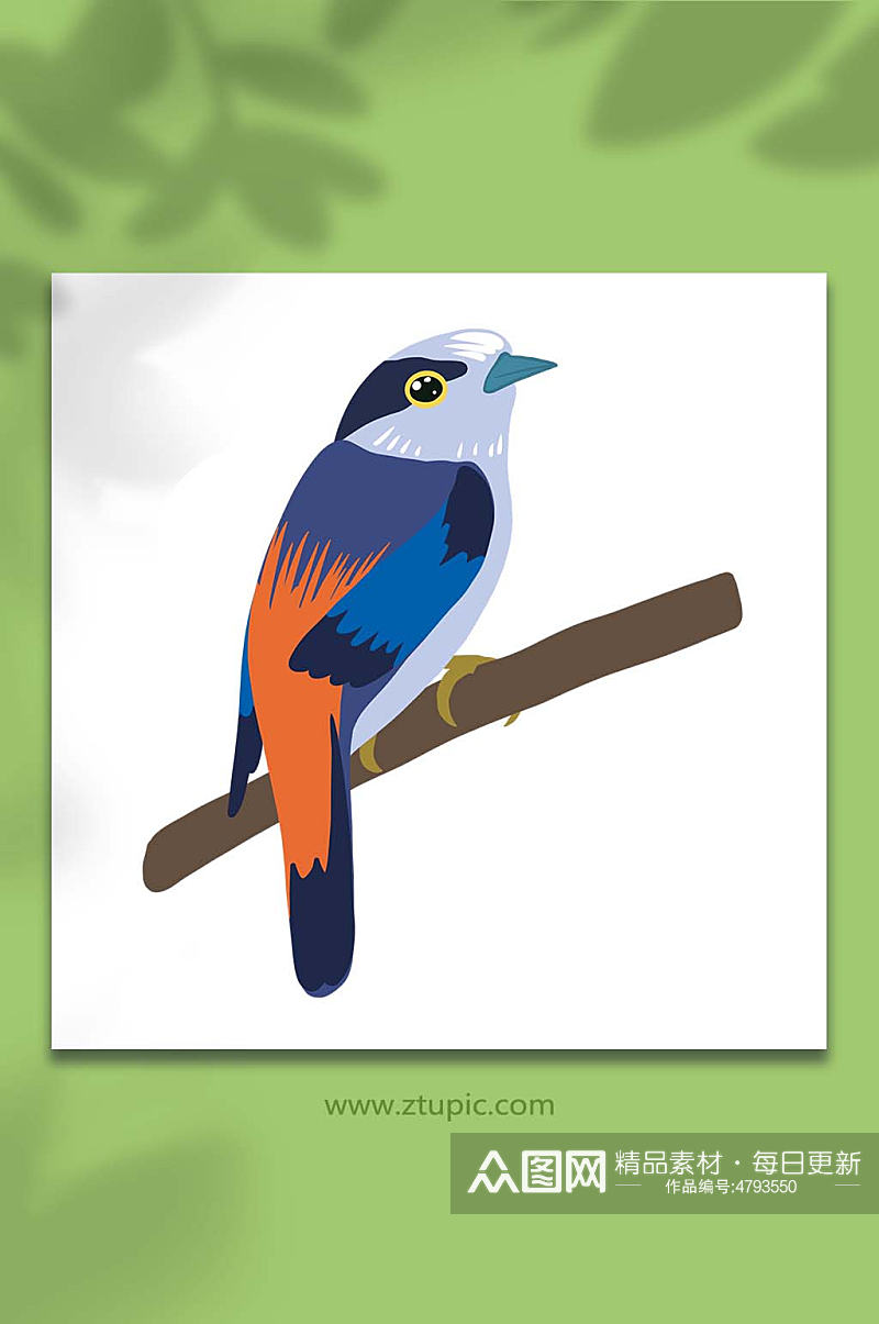 手绘卡通动物深蓝色春季小鸟元素插画素材