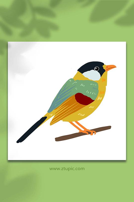 手绘卡通动物彩色春季小鸟元素插画