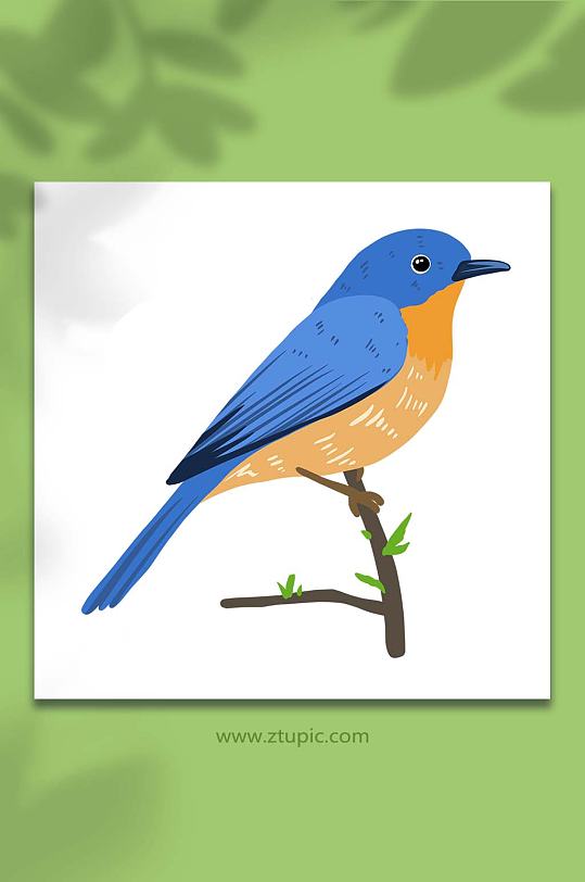 手绘卡通动物淡蓝色春季小鸟元素插画