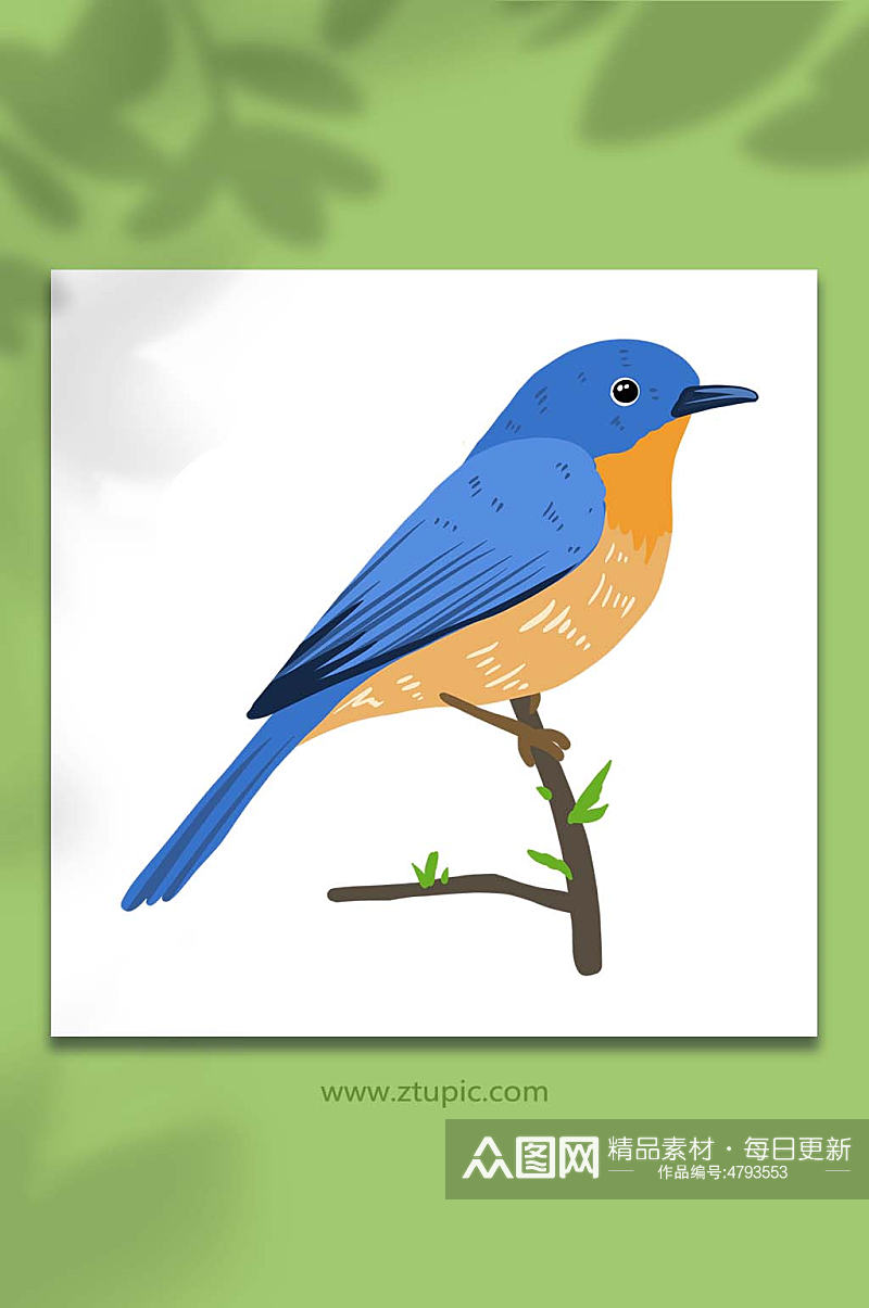 手绘卡通动物淡蓝色春季小鸟元素插画素材