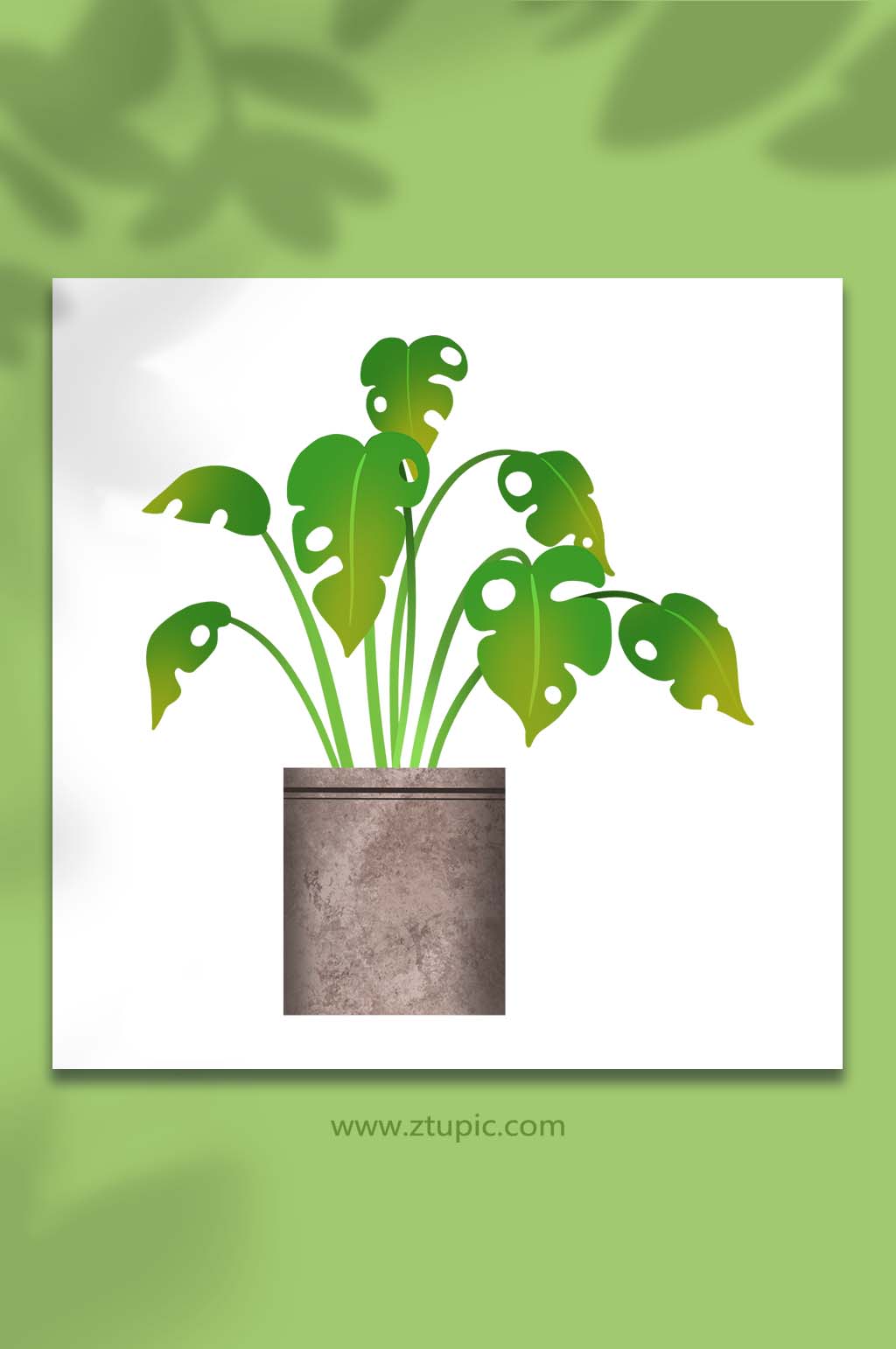 手绘卡通植物花草龟背竹盆栽元素插画素材