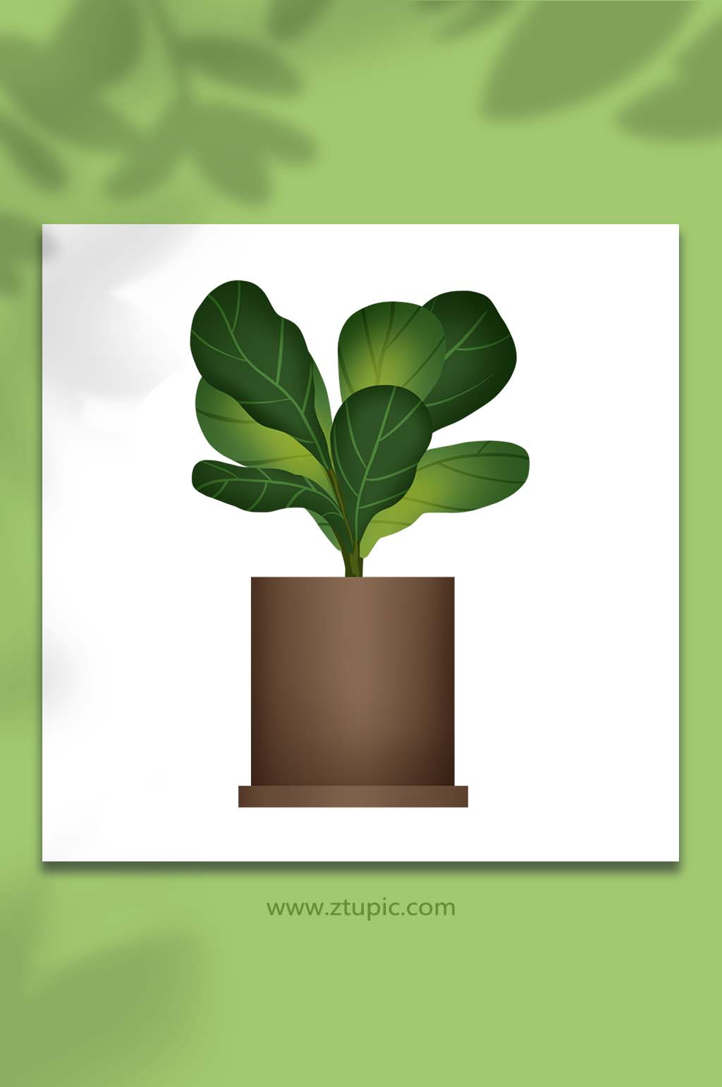 手绘卡通植物花草琴叶榕盆栽元素插画素材