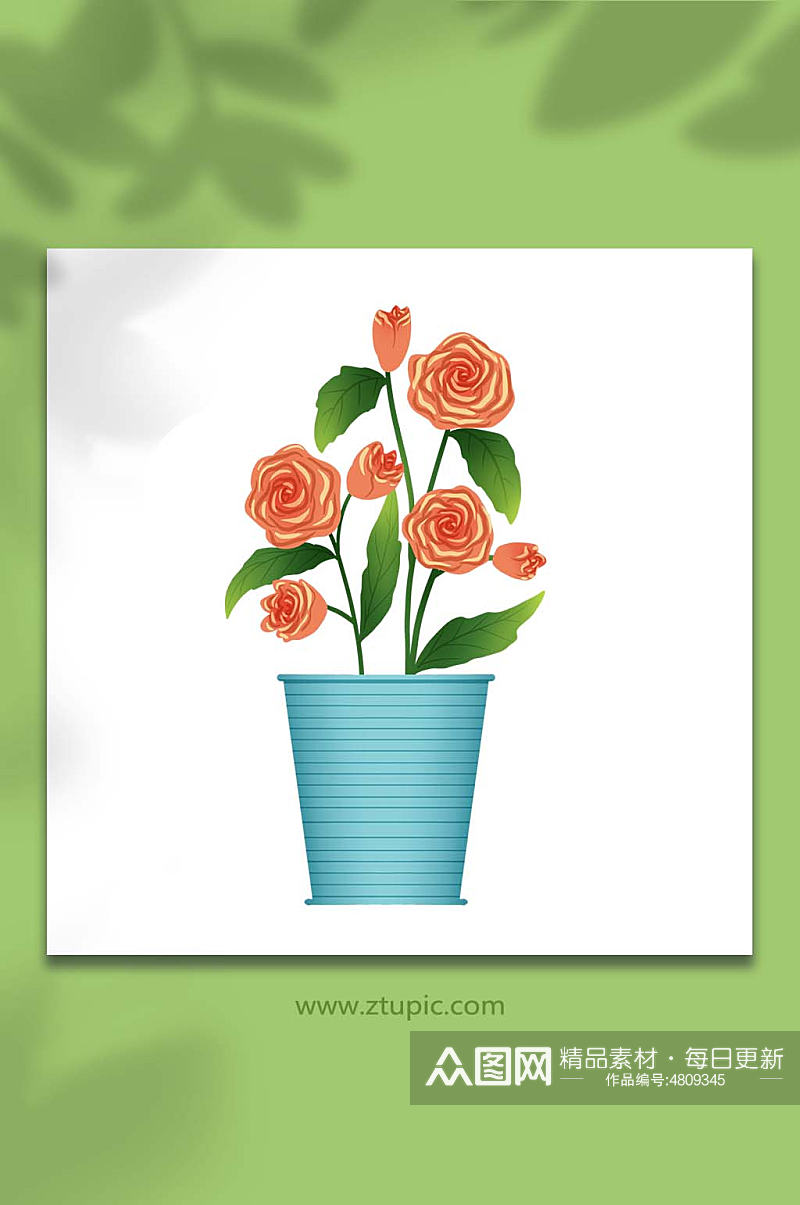 手绘卡通植物花草橙色玫瑰盆栽元素插画素材