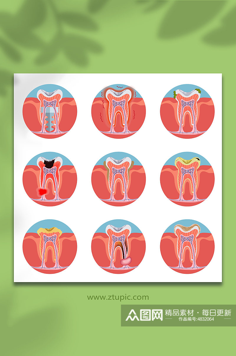 牙科口腔牙齿牙神经医疗矢量图标元素素材