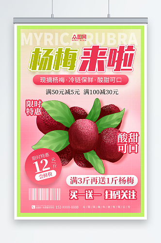 渐变新鲜杨梅夏季水果果园促销海报