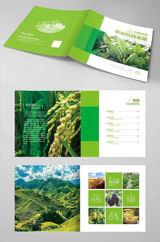 农产品 农业水稻宣传画册