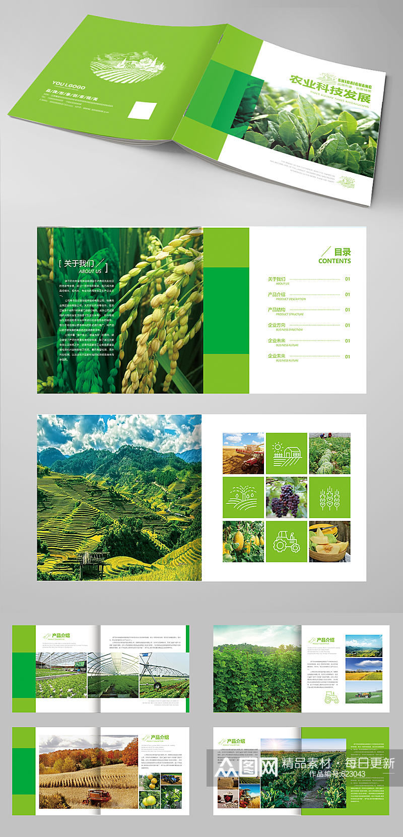 农产品 农业水稻宣传画册素材