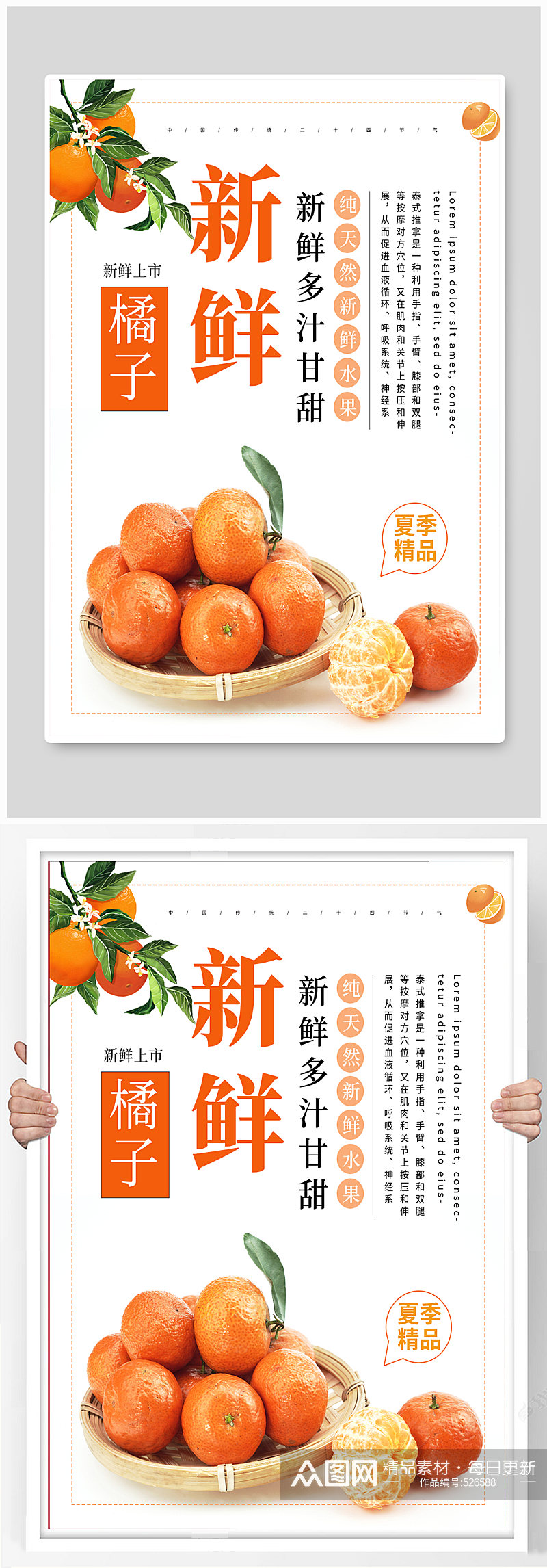 新鲜橘子宣传促销 柑橘 海报素材