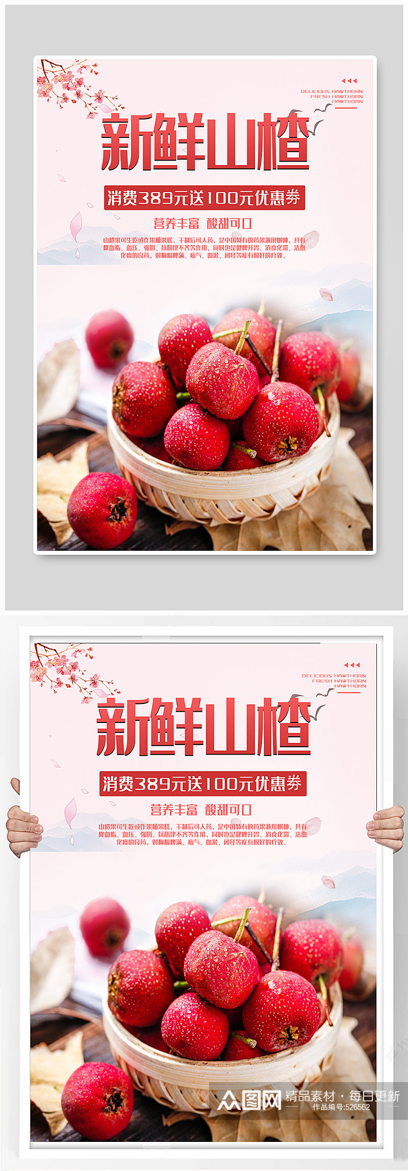 秋季山楂应季水果宣传海报素材