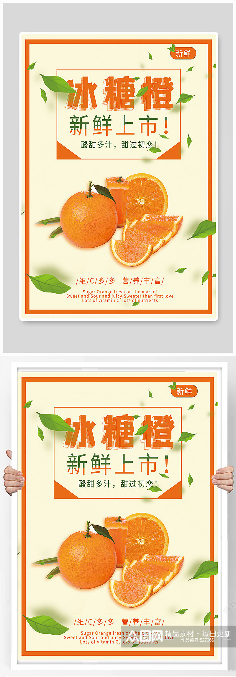 柑橘类水果冰糖橙上市促销素材