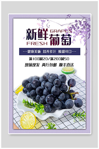 葡萄水果宣传海报