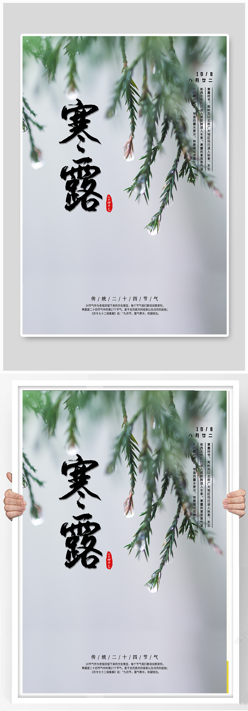 简约二十四节气寒露传统节日素材